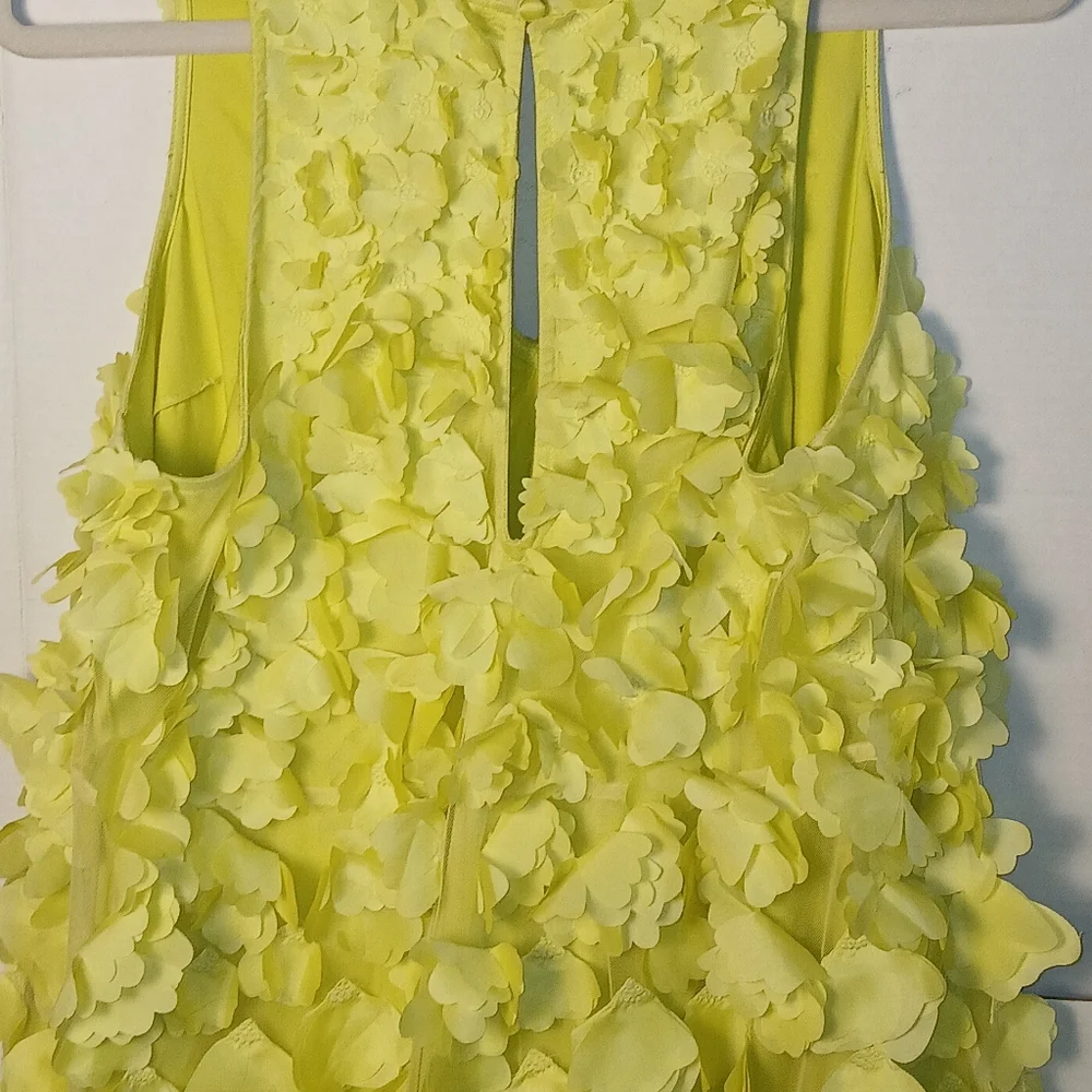 ANTHROPOLOGY Maeve FLOATY Sunny Lemon Lime Appliqued MINI Dress. Size M EUC! - Picture 7 of 13